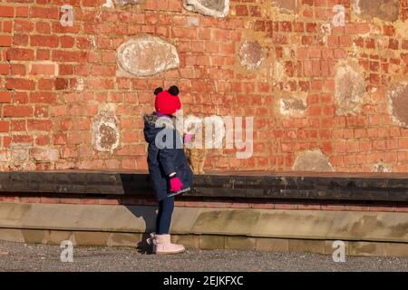 Petite fille qui embrasse un chat de couleur gingembre avec mur de briques en arrière-plan Banque D'Images