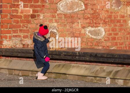 Petite fille qui embrasse un chat de couleur gingembre avec mur de briques en arrière-plan Banque D'Images