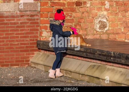 Petite fille qui embrasse un chat de couleur gingembre avec mur de briques en arrière-plan Banque D'Images