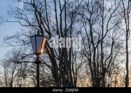 Frosty Antique lampadaire et beau couvert de neige des branches contre l'azure sky Banque D'Images