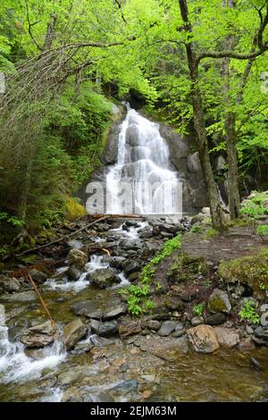 Moss Glen Falls le long de la route 100 dans la forêt nationale de Green Mountain à Granville, Vermont, États-Unis. Banque D'Images