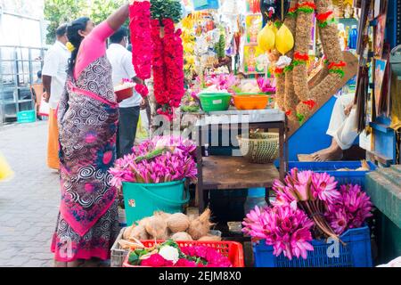 Vendeur de fleurs organisant des guirlandes à l'extérieur du temple de Manakula vinayagar à Pondichéry, Tamil Nadu, Indiadx Banque D'Images