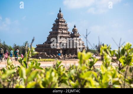 Visiteurs au temple de la mer du site de l'UNESCO à Mahabalipuram, Tamil Nadu, Inde Banque D'Images