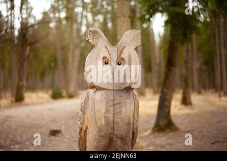 ChainSAW Wood Art Orhibou animal sculpté dans une forêt de bois de pin avec de nombreux arbres en rondins pour la sculpture et l'artisanat fait à la main en bois. Banque D'Images