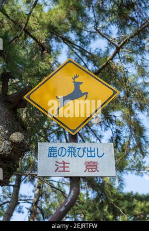 Panneau routier japonais avertissant les conducteurs du célèbre cerf traversant la route, à Nara Park, Japon Banque D'Images