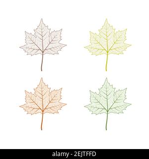 Ensemble de feuilles d'érable. L'automne laisse une illustration vectorielle isolée sur fond blanc. Décoration d'automne clip art Illustration de Vecteur