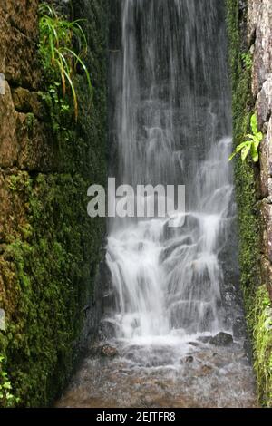 cascade de cascades parmi le feuillage Banque D'Images