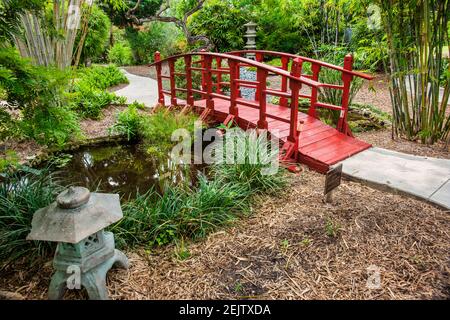 Le jardin japonais dans le jardin botanique de Miami Beach, Floride. Banque D'Images