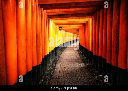 Portes Torii rouge à Fushimi Inari Shrine in Kyoto, au Japon. C'est le célèbre site touristique et destination touristique de Kyoto. Banque D'Images
