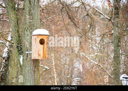 Maison d'oiseau en bois avec toit recouvert de neige dans un forêt ou parc en hiver Banque D'Images