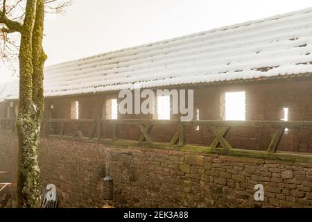 Promenade dans le château du Haut-Koenigsbourg, dans la brume en hiver, Alsace, France Banque D'Images