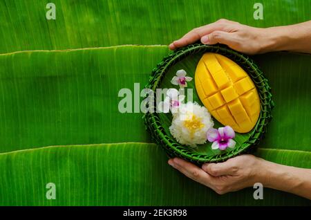 Main tenant le dessert thaïlandais - Mango riz collant qui a mis sur l'assiette de feuilles de banane. Banque D'Images
