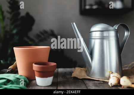 Pots en céramique sur une ancienne table en bois gris, bulbes de tulipe, arrosoir, gants verts et pelle de jardin. Photo de haute qualité Banque D'Images