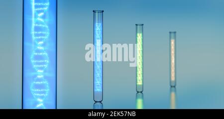 Différents tubes à essai remplis chacun d'un ADN de couleur différente hélice - illustration 3d Banque D'Images