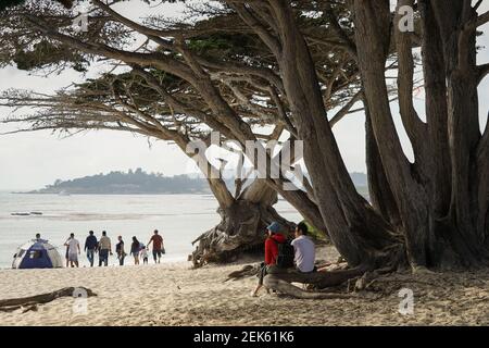 Des gens sur une plage assis à l'ombre d'un cyprès arbres et vue sur l'eau Banque D'Images