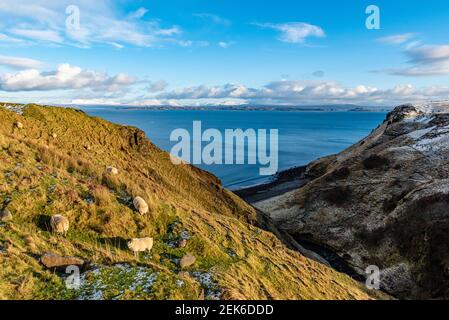 Agriculture d'hiver sur la colline de Skye Banque D'Images