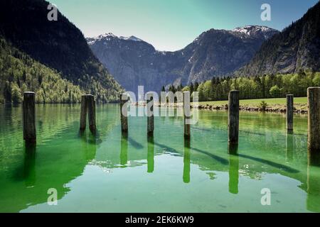 Postes d'amarrage dans une partie peu profonde du lac Königssee, Allemagne Banque D'Images