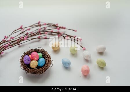 Œufs de Pâques colorés dans le nid d'oiseau avec branches décoratives de Pâques sur fond blanc Banque D'Images