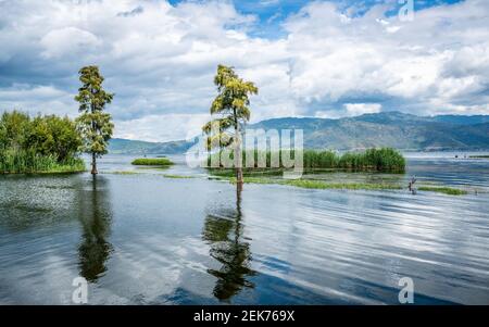 Vue panoramique sur le lac d'Erhai avec arbres au milieu de l'eau Dans Dali Yunnan Chine Banque D'Images