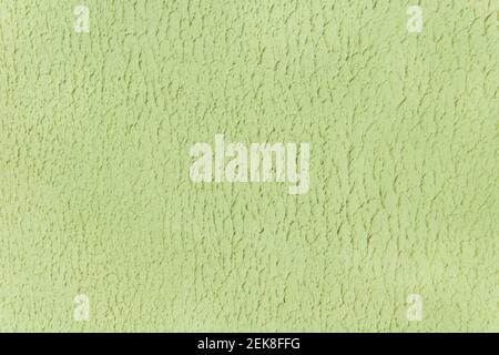 Salade légère ou plâtre vert abstrait texture mur fond de stuc. Banque D'Images