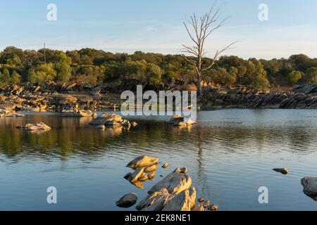 Magnifique arbre avec des rochers sur la rivière Guadiana sur un Journée d'été dans l'Alentejo à la frontière entre le Portugal et Espagne Banque D'Images