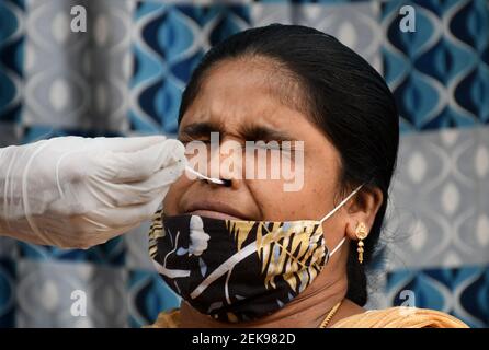 Un professionnel de la santé recueille un échantillon d'écouvillonnage auprès d'une femme résidant dans une colonie de taudis à Dharavi.les cas de virus Corona ont augmenté dans l'état de Maharashtra après le confinement. Il a été conseillé aux gens de ne pas se rassembler en grand nombre dans les lieux publics, de maintenir une distance sociale, de porter un masque et de se désinfecter les mains régulièrement. Banque D'Images