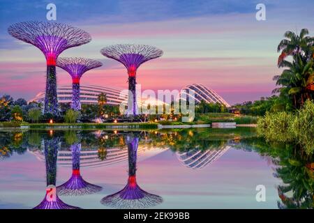 Singapour, Singapour - 12 août 2014. Vue en soirée sur les jardins de la baie, y compris les superarbres illuminés, le Dôme aux fleurs et la Forêt des nuages. Banque D'Images