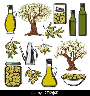 Icônes d'olives vertes et d'huile d'olive. Bouteille d'huile d'olive extra vierge Vector, cornichons marinés dans un pot et une boîte en verre, olives naturelles bio, Premium q Illustration de Vecteur