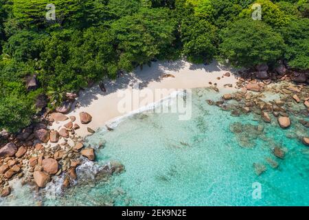 Seychelles, île de Praslin, vue aérienne de la plage de sable d'Anse Lazio avec océan turquoise clair Banque D'Images