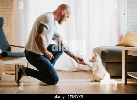 husky sibérien donnant la patte à son propriétaire tout en étant assis à la maison Banque D'Images