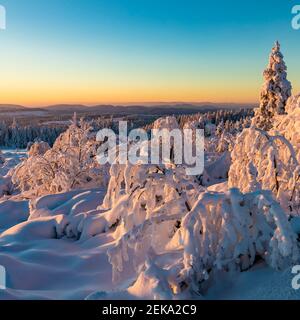 Allemagne, Bade-Wurtemberg, Forêt Noire au lever du soleil en hiver Banque D'Images