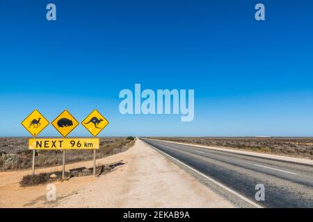 Australie, Australie méridionale, plaine de Nullarbor, panneau d'avertissement près de l'Eyre Highway Banque D'Images