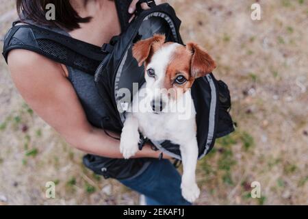 Gros plan d'une femme qui porte son chien dans un sac à dos tout en marchant terre Banque D'Images