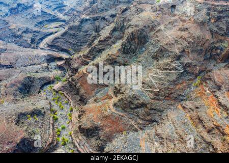 Palmiers et chemins dans les gorges érodées Banque D'Images