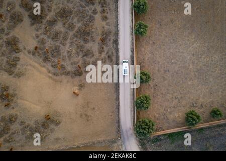 Camionnette de camping avec panneaux solaires drone vue de dessus avec vaches sur une route rurale de terrain agricole de paysage Banque D'Images