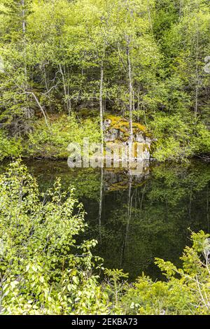 Les bouleaux se reflètent dans le lac Black, à côté de la route Klondike ne de Skagway, Alaska, États-Unis Banque D'Images