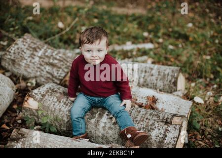 Tout-petit gai assis au milieu de feuilles d'automne sèches tout en regardant loin dans la forêt Banque D'Images