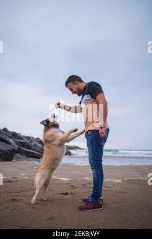 Homme de taille moyenne nourrissant le chien tout en se tenant à la plage contre le ciel Banque D'Images