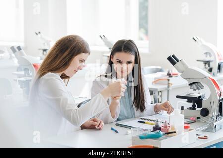 Jeunes femmes chercheurs en couches blanches examinant un échantillon de laboratoire dans cours de sciences Banque D'Images
