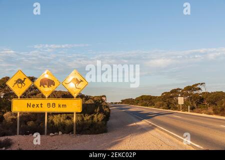 Australie, Australie méridionale, plaine de Nullarbor, panneau d'avertissement près de l'Eyre Highway Banque D'Images