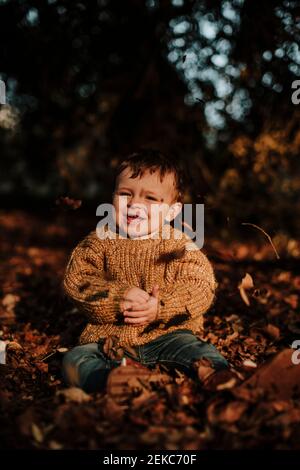 Tout-petit gai assis avec un chapeau en tricot sur des feuilles d'automne sèches tout en regardant loin dans la forêt Banque D'Images