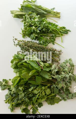 Herbes fraîches isolées sur fond blanc, persil, romarin, thym, sauge, origan, Banque D'Images