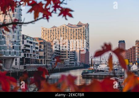 Allemagne, Hambourg, HafenCity avec la rivière Sandtorhafen et la salle de concert Elbphilharmonie en automne Banque D'Images