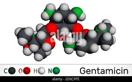 Molécule de gentamicine. Il s'agit d'un antibiotique aminoglycoside à large spectre. Modèle moléculaire. Rendu 3D. Illustration 3D Banque D'Images