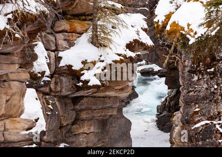 Les chutes Athabasca en hiver, Jasper National Park, Alberta, Canada Banque D'Images