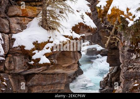 Les chutes Athabasca en hiver, Jasper National Park, Alberta, Canada Banque D'Images