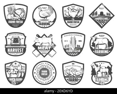 Badges vectoriels agricoles de produits alimentaires à base de lait, de légumes et de viande, d'agriculture et de conception agricole. Grange, animaux de vache et tracteur, champ de ranch, cochon et rôtie Illustration de Vecteur