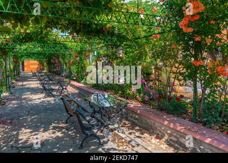 Bancs et tables sous un tunnel de roses en Bulgarie Banque D'Images