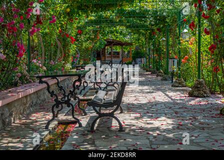 Bancs et tables sous un tunnel de roses en Bulgarie Banque D'Images