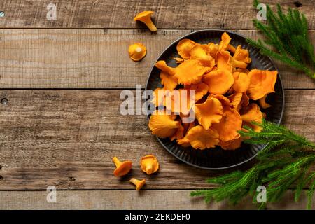 Chanterelles de champignons dans un bol rétro en fer et mousse de forêt sur un vieux fond en bois. Maquette. Vue de dessus. Banque D'Images